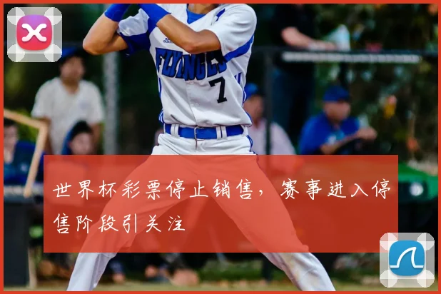 世界杯彩票停止销售，赛事进入停售阶段引关注