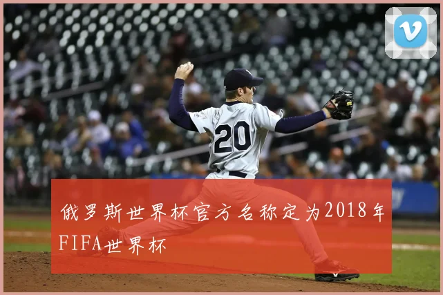 俄罗斯世界杯官方名称定为2018年FIFA世界杯